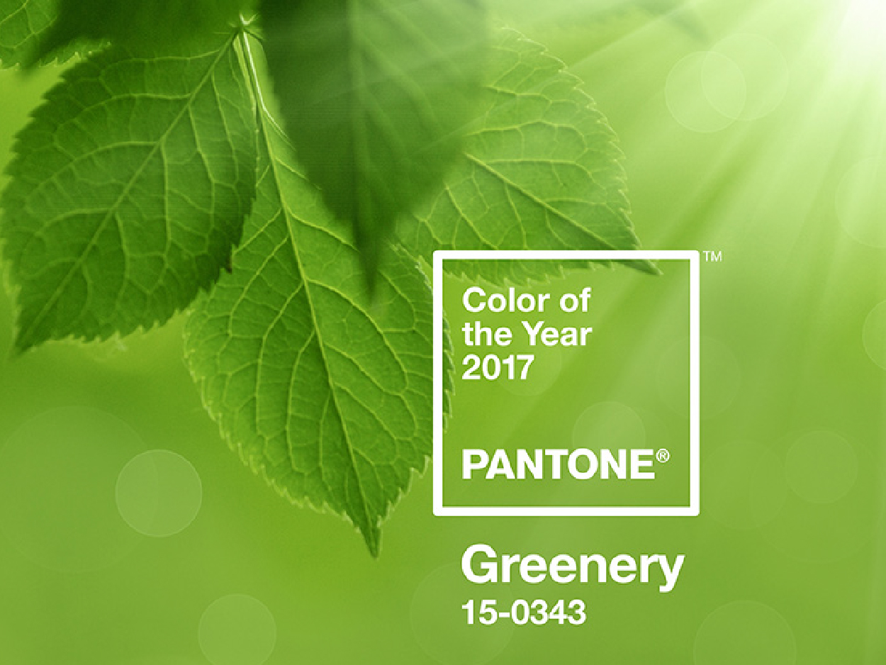 Pantone 公布 2017 年度代表色： Greenery 草木绿
